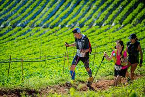 BIB: 
                            <button type="button" onclick="openModal(19161697)" class="btn btn-primary btn-sm float-right btn-popup" data-toggle="modal" data-target=".modal-high-quality">
                        <i class="fas fa-shopping-cart"></i> Add to Cart
                    </button>
                                            <button type="button" onclick="isThisMe(19161697, true)" class="btn btn-success btn-sm float-right btn-popup btn-isme hidden" data-toggle="tooltip" data-placement="bottom" title="นี่คือรูปของคุณใช่ไหม คลิกที่นี่เพื่อเอาเข้าอัลบั้ม">
                        <i class="fas fa-plus"></i> Add to album
                    </button>
                    <button type="button" onclick="isThisMe(19161697, false)" class="btn btn-warning btn-sm float-right btn-popup btn-isnotme hidden">
                        <i class="fas fa-ban"></i> Remove from album
                    </button>